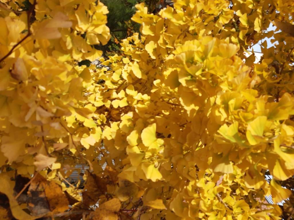 Poursuite des rencontres en&nbsp;pharma